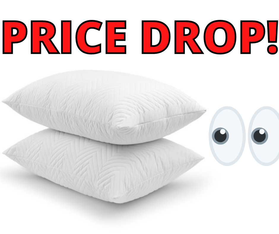 Beautyrest Comfort Memory Foam Pillows PRICE DROP!