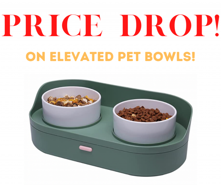 Elevated Pet Bowl Set On Sale!