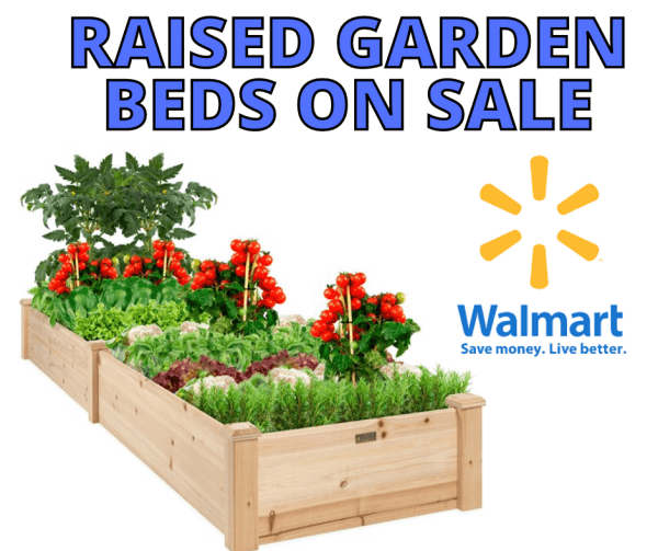 Raised Garden Beds On Sale At Walmart