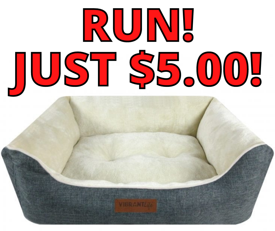 Vibrant Life Urban Large Pet Bed Only $5 at Walmart!