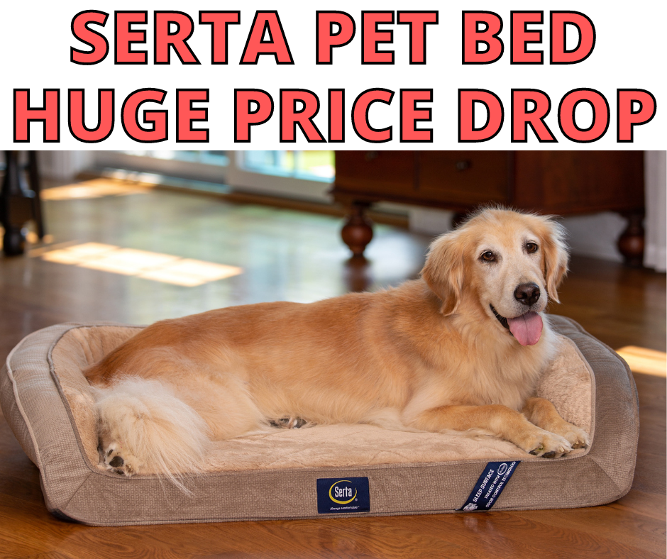 Serta Pet Bed Hot Member Clearance Find at Walmart!