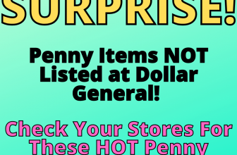 Surprise Penny Items at Dollar General!!!!  RUN TO YOUR STORES!