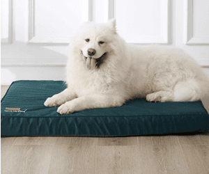 Orthopedic Dog Beds 80% Off Pre Prime Day Sale!