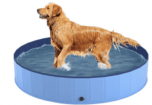 Foldable Portable Dog Pool! 80% Off With Double Discount!
