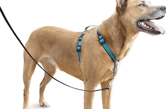 Petsafe Dog Harness! Super Hot Find On Amazon!