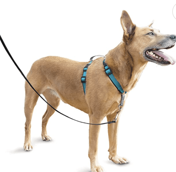 Petsafe Dog Harness! Super Hot Find On Amazon!