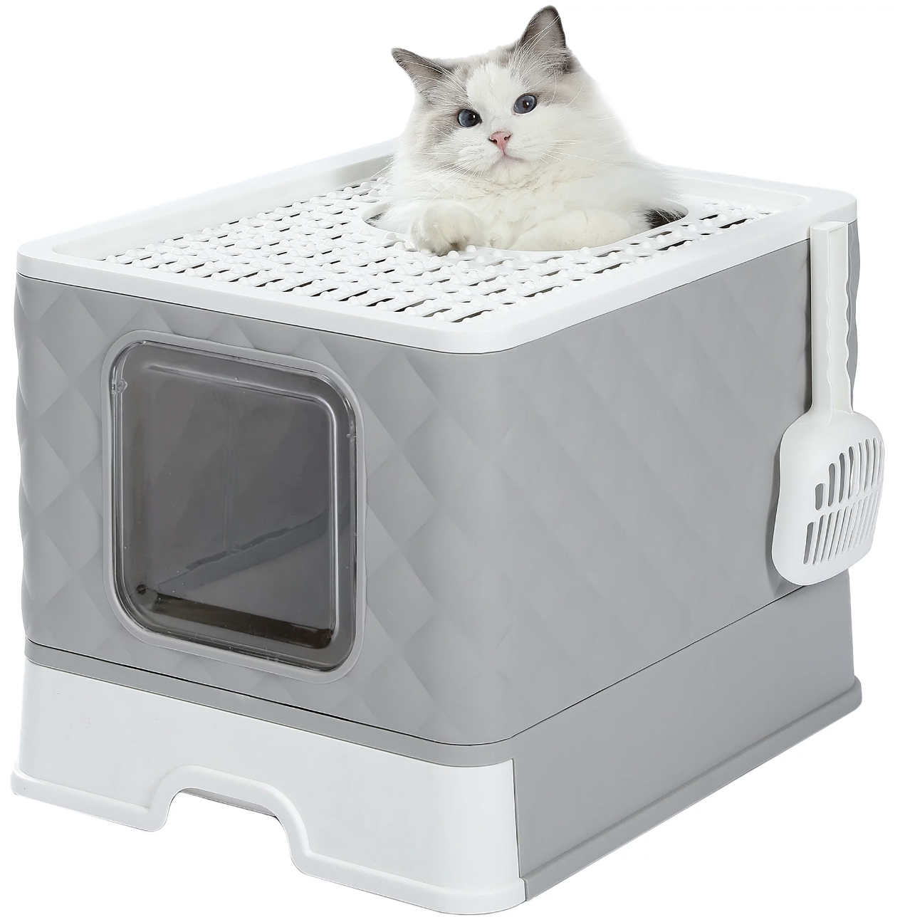 Walmart litter box