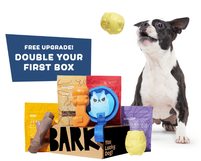 Super Chewer Durable Dog Stuff, Every Month! Join Now! Screenshot 2024 01 06 094416
