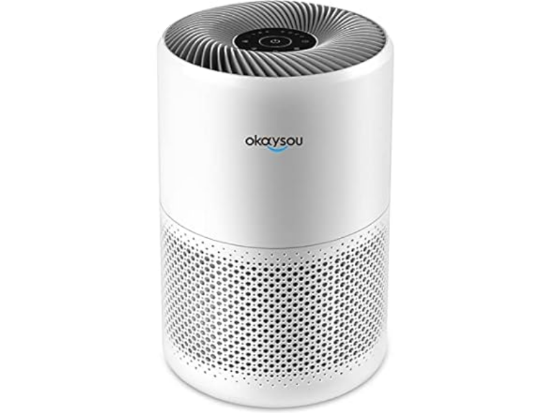 Screenshot 2024 06 26 at 09 19 05 Okaysou Air Purifier Large Room up to 600 Sq.Ft