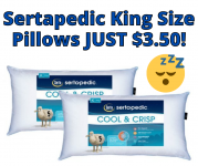 Sertapedic King Size Pillows – 3.50