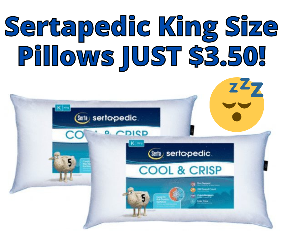 Sertapedic King Size Pillows – $3.50!!
