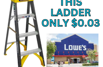 THIS LADDER ONLY $0.03