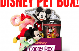 Chewy Pet Disney Goody Box On Sale Now!