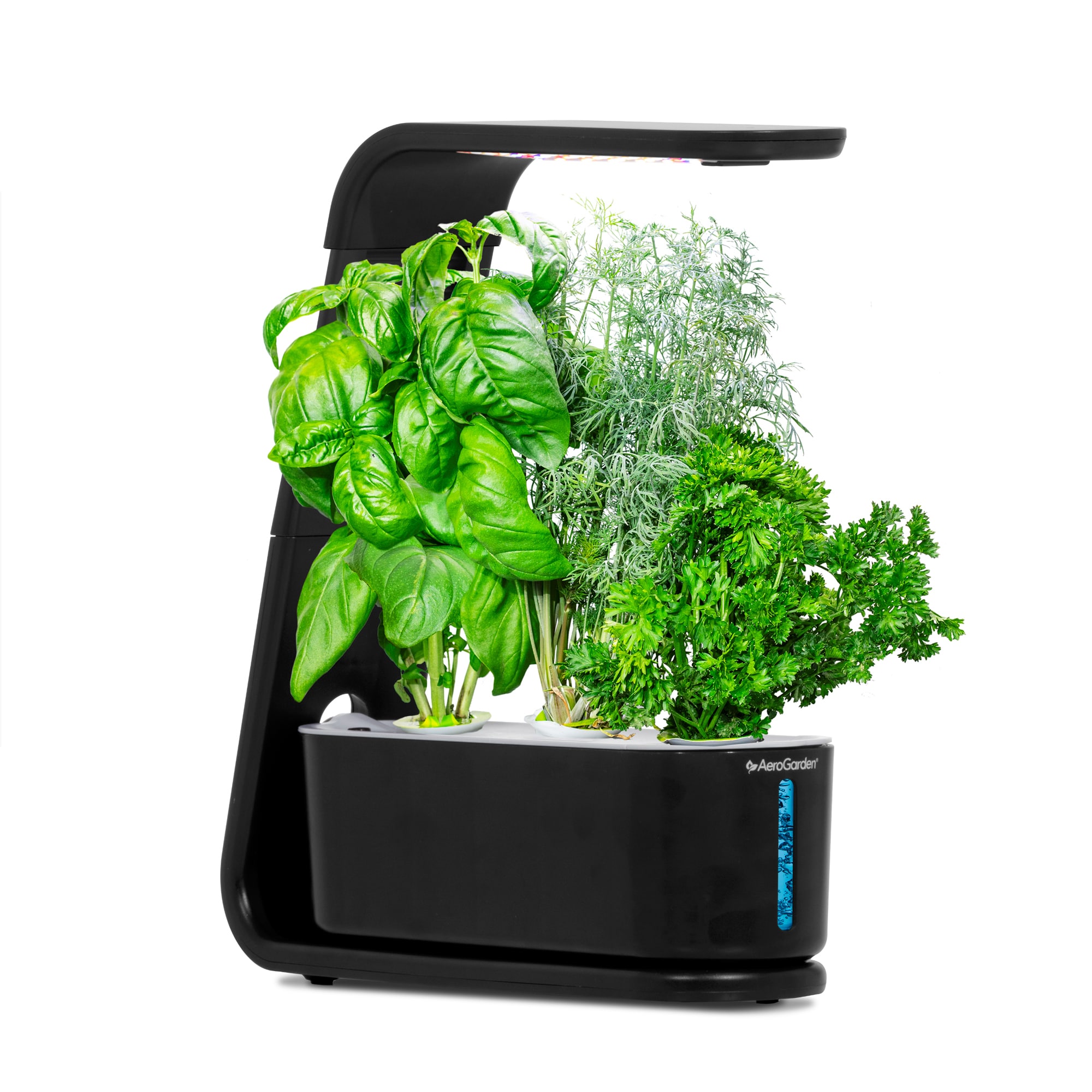 AeroGarden Sprout LED Hydroponic System (10-in Maximum Plant Growth Height)