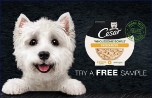 Cesar Wholesome Bowls FREE Sample From Amazon!