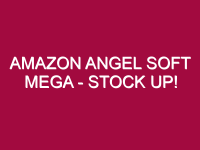 amazon angel soft mega stock up 1306668