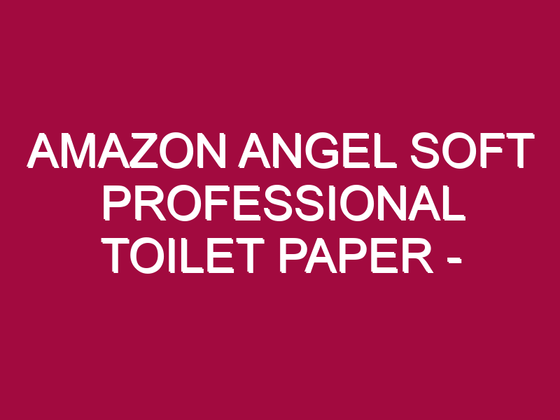 Amazon Angel Soft Professional Toilet Paper – STOCK UP!