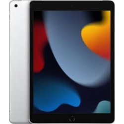 Apple 10.2" iPad 9th Gen, 256GB, Wi-Fi + 4G LTE, Silver MK6A3LL/A