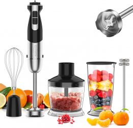 Immersion Hand Blender Double Discount At Amazon