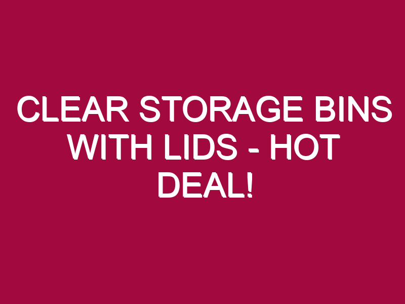 Clear Storage Bins With Lids – HOT DEAL!