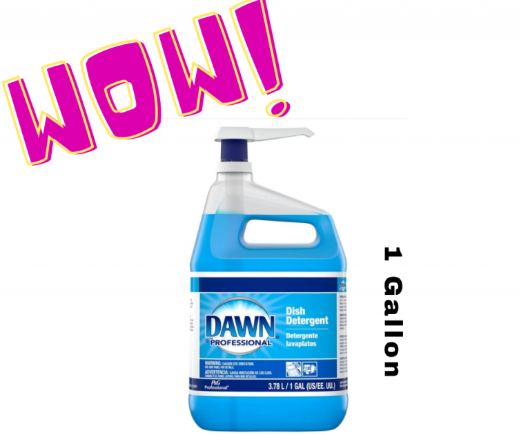 Dawn Professional 1 Gallon HUGE Price Drop!