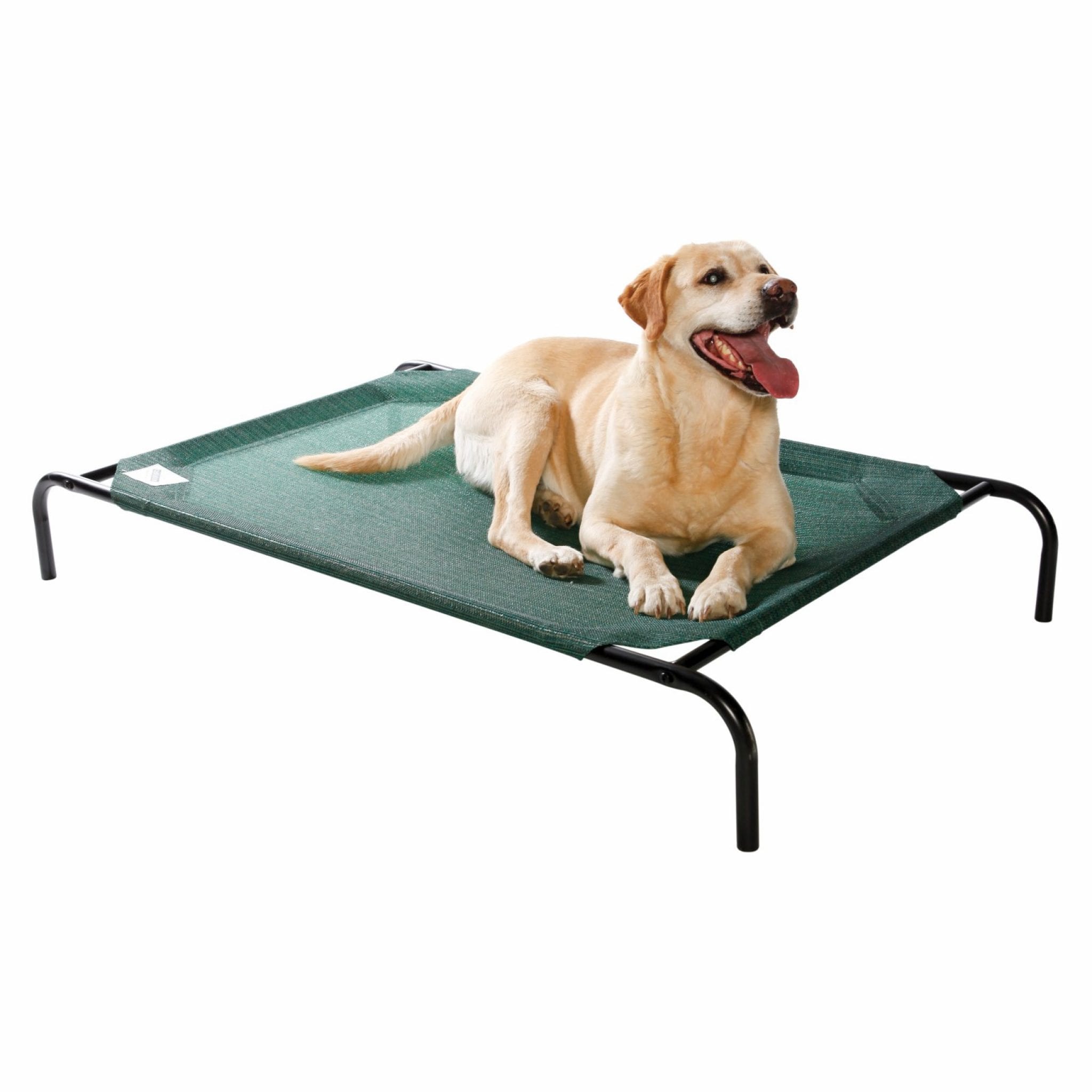 Coolaroo Elevated Pet Dog Bed! Clearance!! – Glitchndealz