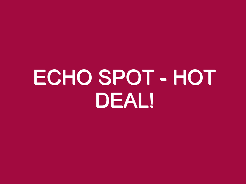 echo spot hot deal 1307482