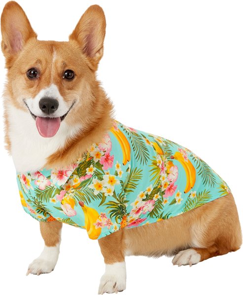 Frisco Pineapple Hawaiian Camp Dog & Cat Shirt