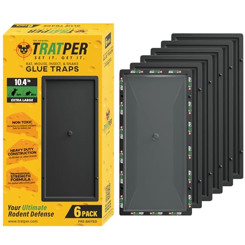 Mouse Trap - On Sale Today! Mouse Trap - On Sale Today!