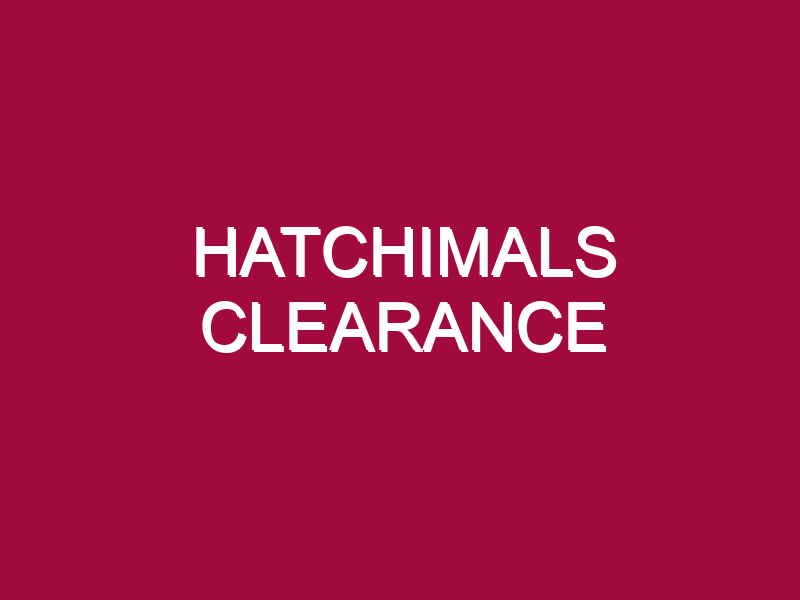 hatchimals clearance 1308383