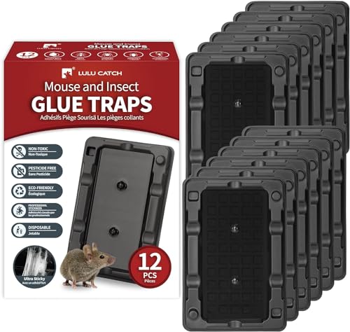 Mouse Trap - On Sale Today! Lulucatch Mouse &Amp; Insect Traps 12 Pack, Heavier Sticky Traps With Non-Toxic Glue For Small Mice &Amp; Insects. Sticky Mouse Traps Indoor, Easy To Set, Safe To Children &Amp; Pets