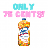 Lysol Multi-Surface Cleaner MAJOR Markdown!