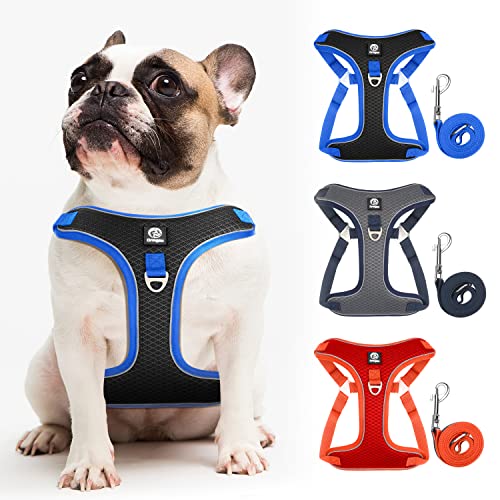 Ormgau Dog Harness, No-Pull Pet Harness with 2 Leash Clips, Adjustable Soft Padded Dog Vest, Reflective No-Choke Pet Oxford Vest with Easy Control Handle for Small to Large Dogs（Black-M） On Sale At Amazon.com