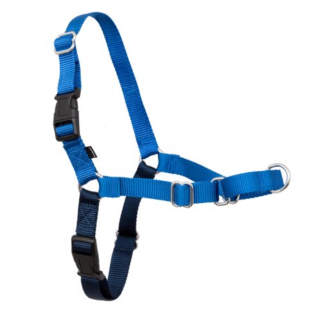 PetSafe Nylon, Plastic & Metal Walking Dog Harness, Royal Blue, M (12" to 15" Chest Size)