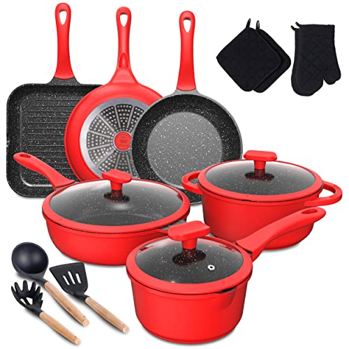 16Piece Induction Kitchen Cookware Set Online Markdown