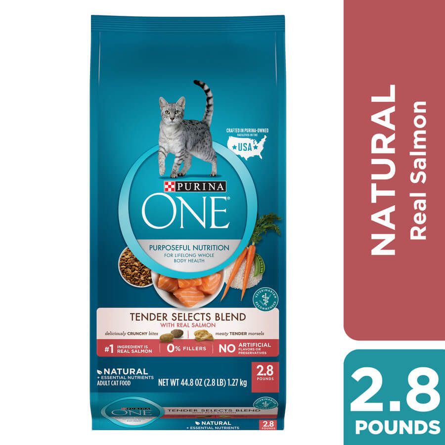 Purina ONE Natural Dry Cat Food; Tender Selects Blend With Real Salmon - 2.8 lb. Bag on Sale At Dollar General