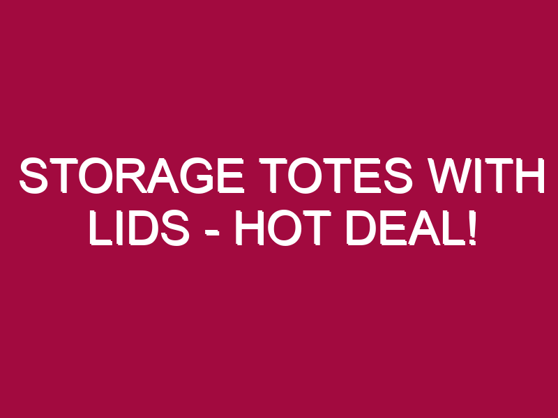 Storage Totes With Lids – HOT DEAL!