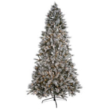 Christmas Trees Are 50% Off!