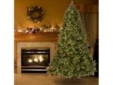 79% OFF TODAY ONLY! National Tree Company Pre-Lit ‘Feel Real’ Artificial Slim 6.5″ Christmas Tree