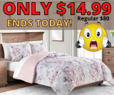 Sunham 2 & 3-pc Comforter Sets ONLY $14.99 (Reg $80)