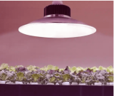 Reflective Grow Light HOT PRICE at Home Depot!