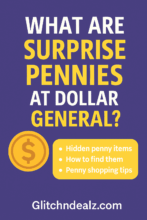 What Are Surprise Pennies at Dollar General?