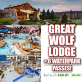 PROMO IS BACK! Great Wolf Lodge As Low As $88!