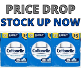 Cottonelle 12 Family Rolls at HUGE Discount at Dollar General!