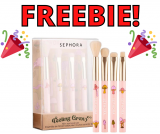 Sephora Feeling Groovy Mini Eye Brush Set FREE