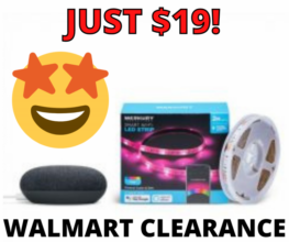 Google Nest Mini Bundle With LED Strip Lights Walmart Clearance!