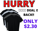 Gildan Men’s V-Neck T-Shirts Only $2.30 EACH!