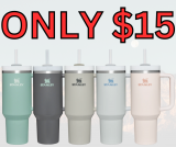 Stanley Quencher Tumbler ONLY $15! RUN!!!