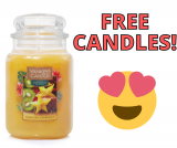 Buy 2 Get 2 FREE on Large or Tumbler Yankee Candles!