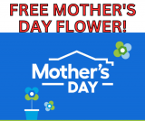 Free Mother’s Day Flowers at Lowe’s!